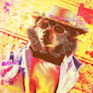 Meet your Posher, Lennae